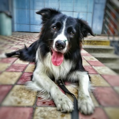 Анастасия Ермакова, 19.02, Москва