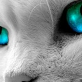 Вероника Полесская, 21.05, Воронеж