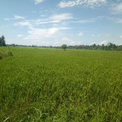 Eain Lay, 02.02.1995