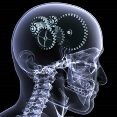 Вячеслав Тарасов, 25.11.1989, Санкт-Петербург