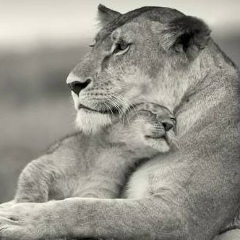 Kalibek Kaliyev, 14.11.1929, Алматы