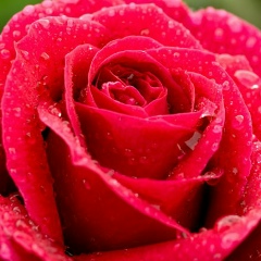 Оля Шмакова, 20.03.1988