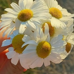 Юлия Ромодан, 27.09.1989