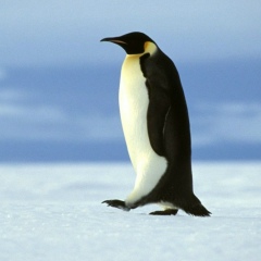 Константин Черненко, 04.04.1990, Москва