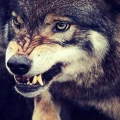 Артур Горисский, 15.12, Москва