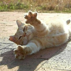 Багдат Эштаев, 30.09, Астана