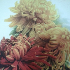 Рус Легенда