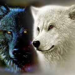 Malgožata Vojevudzkaja, 21.03.1988, Białystok