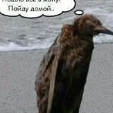 Алексей Ненашев, 21.02.1983, Донецк