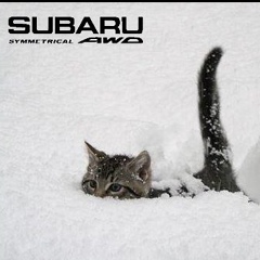 Zhenya Kan, 16.07, Алматы