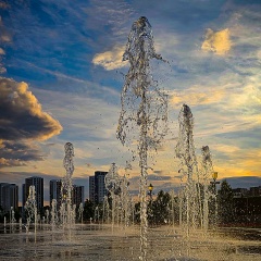 Allen Davis, 12.02, New York City