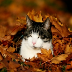 Юлия Лебедева, 26.12, Минск