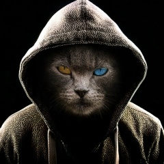 Ден Космас, 28.12.1988, Алушта