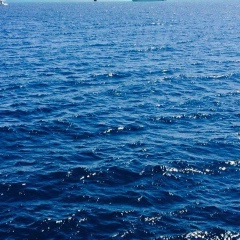 Раксана Ферзалиева, Прохладный