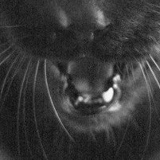 Алина Иванова, 18.09