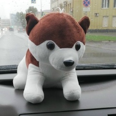 Глеб Горгуленко, 28.05, Санкт-Петербург