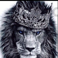 Alisher Mirkarimov, 25.08, New York City