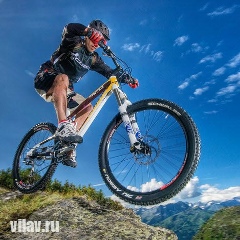 Евгений Димитрий, Москва