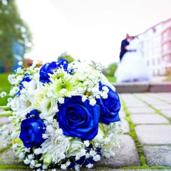 Dian4ik ..., 11.05, Рига