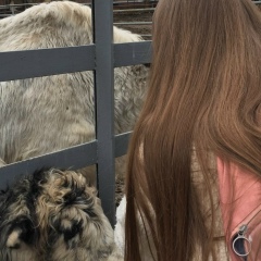 Дана Новикова, 03.07