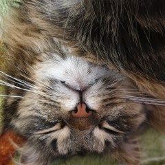 Оля Зонтикова, 14.01, Ногинск