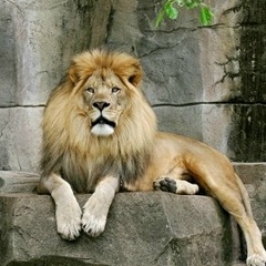 Айбат Убишев, 17.03.1986, Уральск