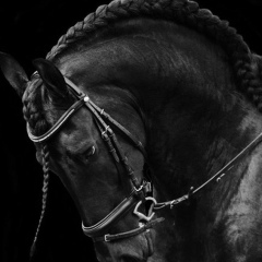 Тимур Нургожин, 19.06.1988, Караганда