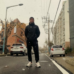 Андрей Громов, Ansan
