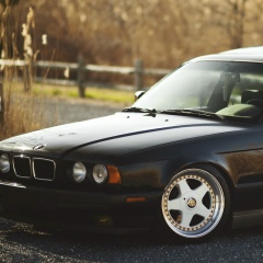 Артем Кутаков, Гатчина