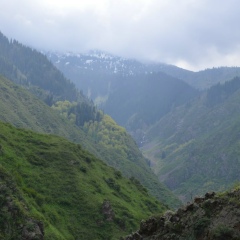 Лиля Жаркимбаева, Алматы