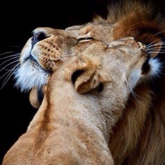 Мухаммед Айтпенов, 22.07, Астана