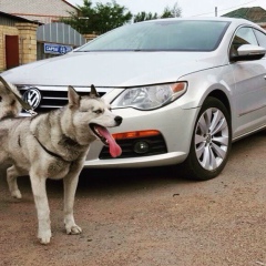 Тимур Капсалямов, 28.03, Астана