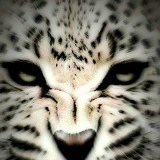 Виталий Силантьев, 31.08, Москва