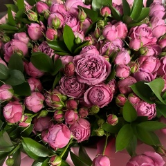 Лена Ташмирзаева, Симферополь