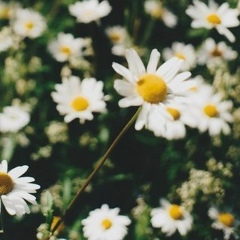 Олечка Судак, 03.07.1990, Гродно