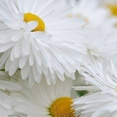 Елена Рымарчук, Киев