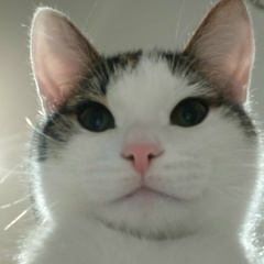 Александр Подладов, 15.06.1990, Большое Болдино