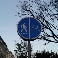 Юлия Шевченко, 24.06.1905, Киев