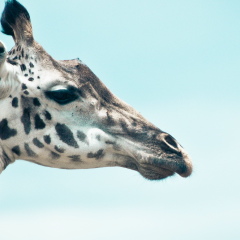 Наталия Лапутина, 10.12.1988