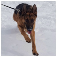 Сергей Плахин, 29.12.1984, Санкт-Петербург