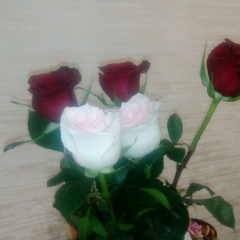 Вероника Орлова, 20.02, Мурманск