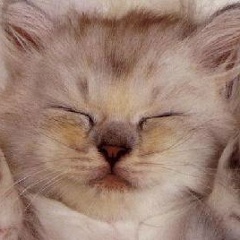 Надежда , 17.04, Москва