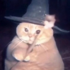 Айдана Оспанбек, 04.06