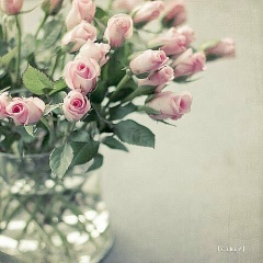 Мира Мира, 02.05, Астана