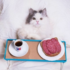 Αртем Κириллов, Выборг