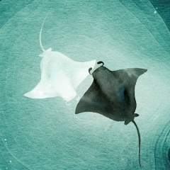 Карина Хупсергенова, 11.01