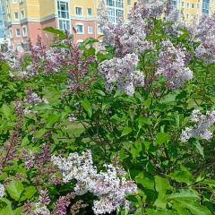 Гузаль Фатхутдинова, 07.02, Лангепас