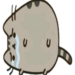 Виталий Романенко, 09.06