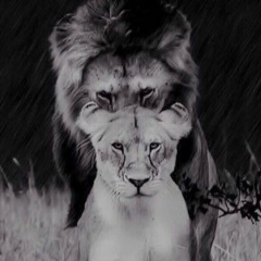 Дина Мадаева, 21.08.1993, Грозный