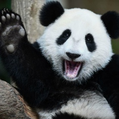 Emerald Phyoe, 10.07.1990